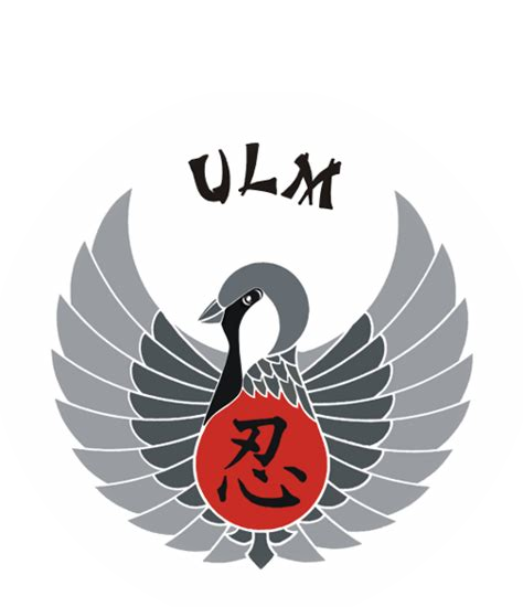 Ninjutsu Ulm